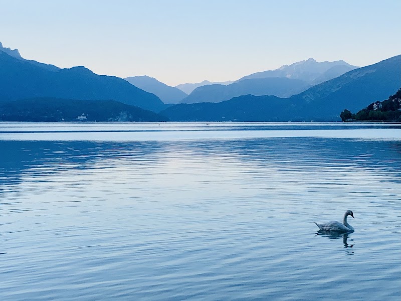 Biking Adventure Along Lac d'Annecy - Piste cyclable tour du lac d'Annecy
