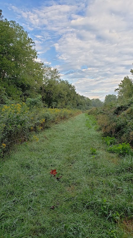 Wildlife & River Views at Shannondale Springs WMA outdoor detail