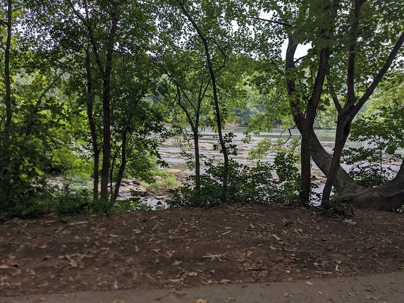 Wildlife & River Views at Shannondale Springs WMA surrounding landscape