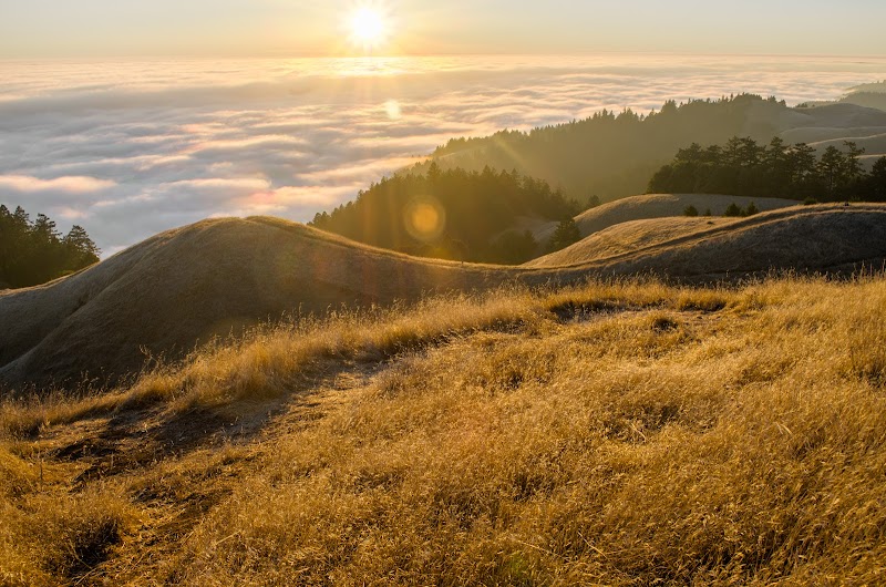 Scenic Summit Views at Mount Tamalpais - Mount Tamalpais