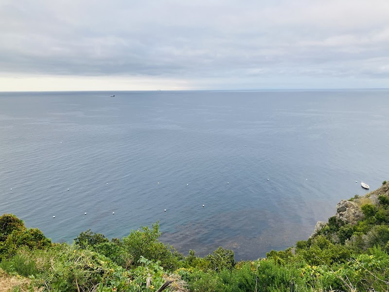 Coastal Serenity at Hamilton Beach, Avalon - Hamilton Beach