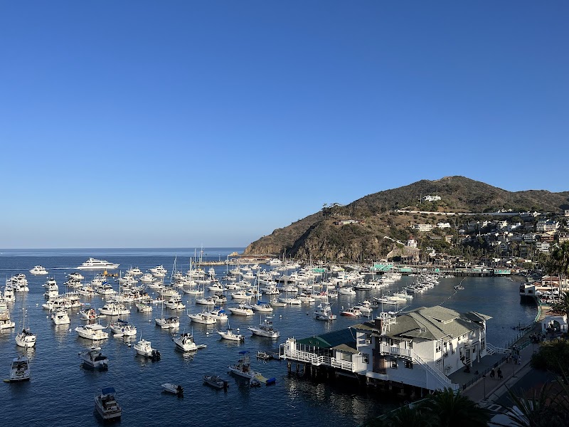 Coastal Charm at Step Beach, Avalon - Step Beach