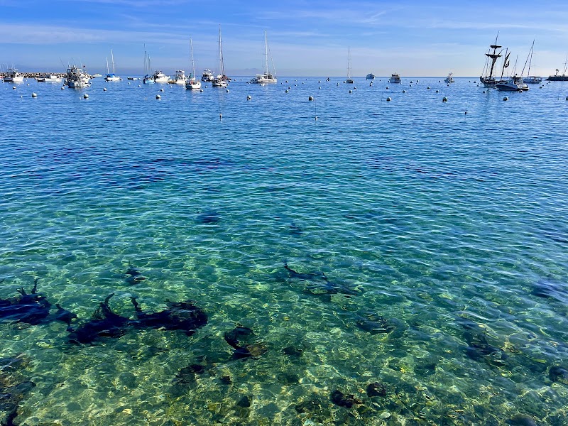 Coastal Charm at Step Beach, Avalon - Step Beach