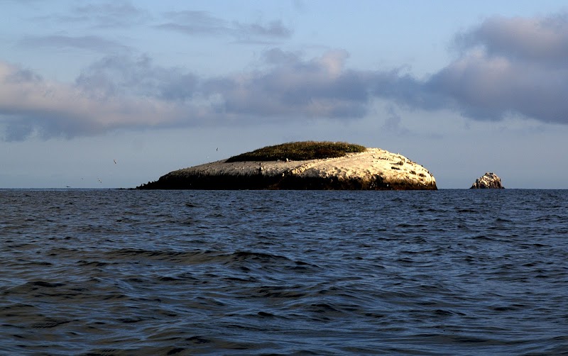 Coastal Wonder at Blue Cavern Point, California - Blue Cavern Point
