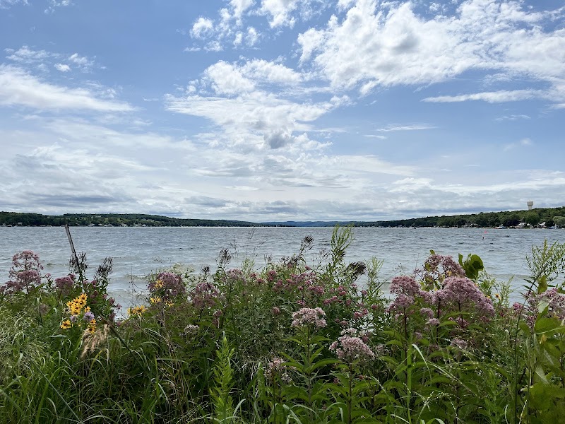 Serene Lakeside Beauty at Conesus Lake, NY surrounding landscape