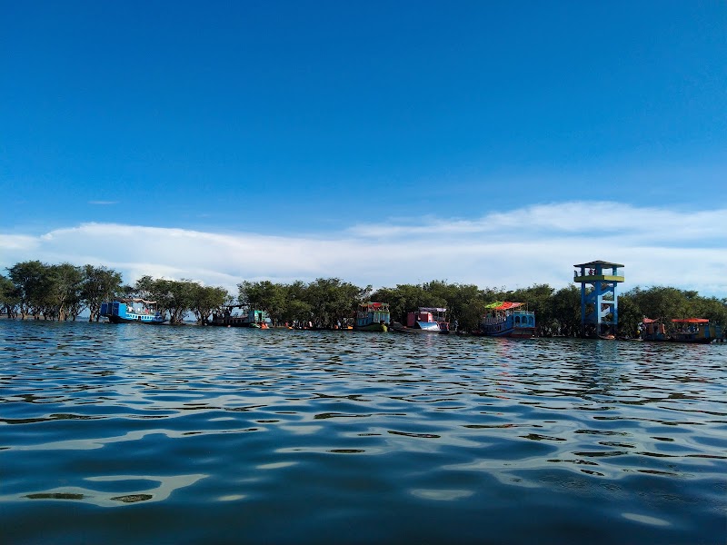 Wetland Wonder in Sunamganj: Tanguar Haor - Tanguar Haor
