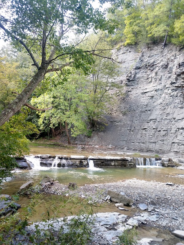 Nature’s Quiet Retreat: Sonyea State Forest Near Dansville, NY - Sonyea State Forest