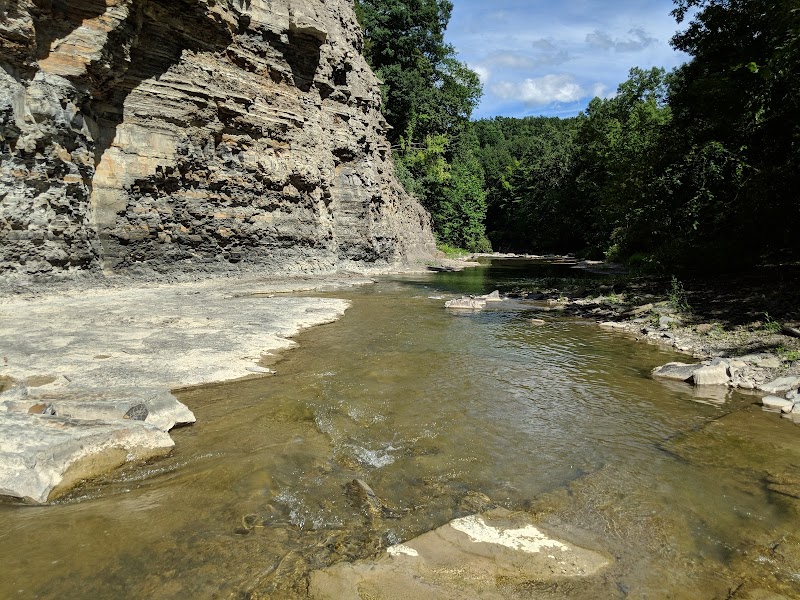 Nature’s Quiet Retreat: Sonyea State Forest Near Dansville, NY - Sonyea State Forest