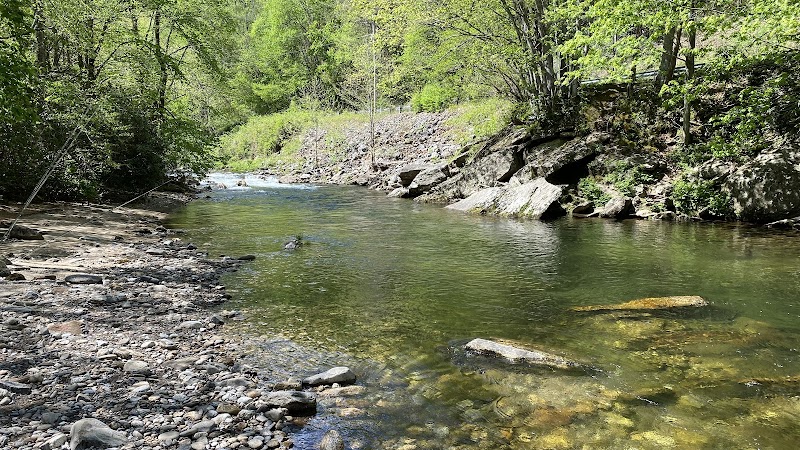 Fly Fishing Adventures with Brown Trout Fly Fishing in Asheville - Asheville