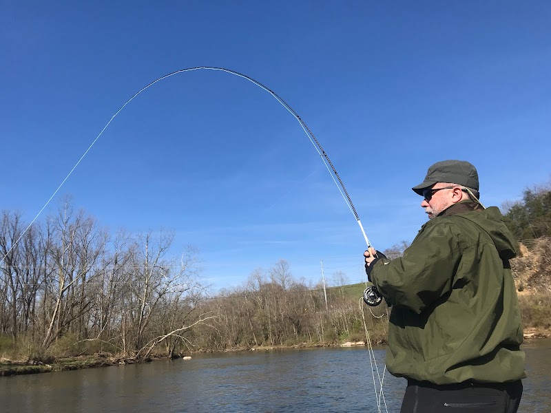 Fly Fishing Adventures with Brown Trout Fly Fishing in Asheville - Asheville