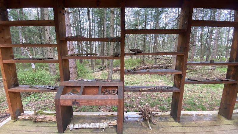 Nature and Accessibility Combined: Autism Nature Trail in Castile, NY - Autism Nature Trail