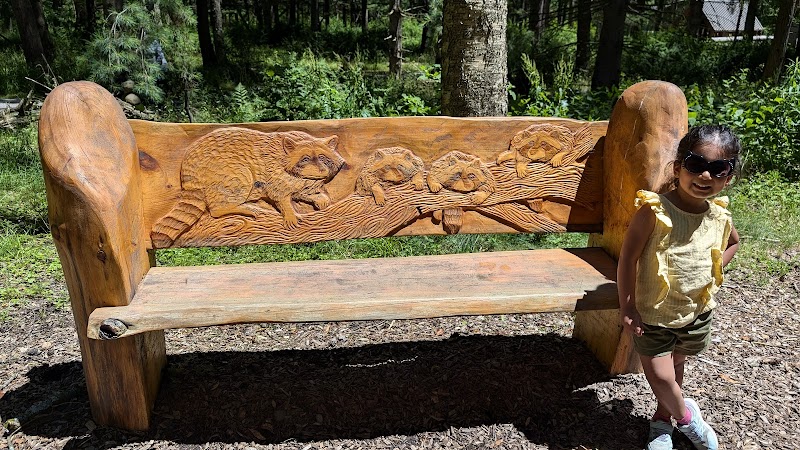Nature and Accessibility Combined: Autism Nature Trail in Castile, NY - Autism Nature Trail