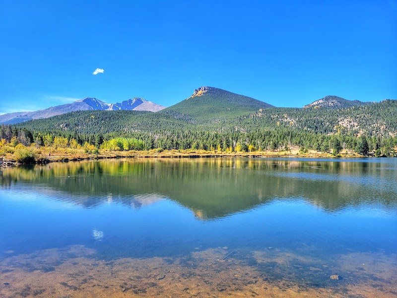Scenic Serenity at Lily Lake near Estes Park, Colorado - Lily Lake