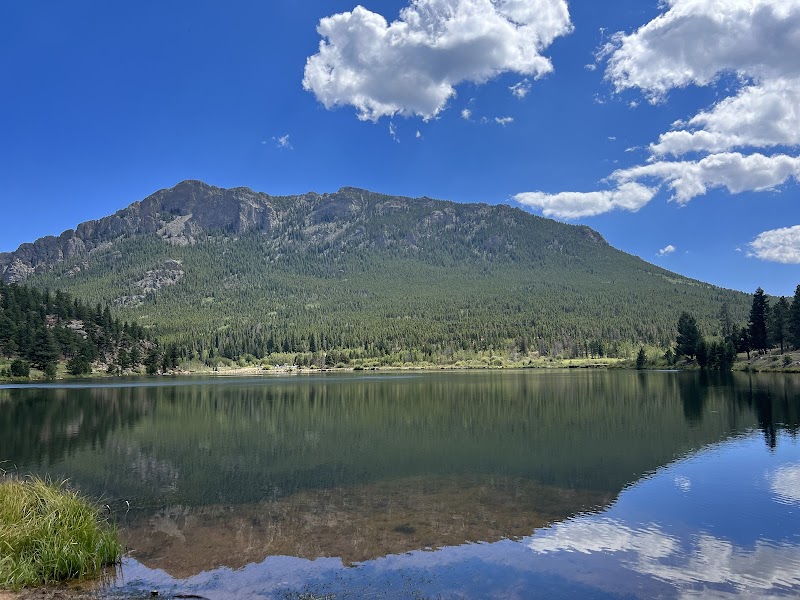 Scenic Serenity at Lily Lake near Estes Park, Colorado - Lily Lake