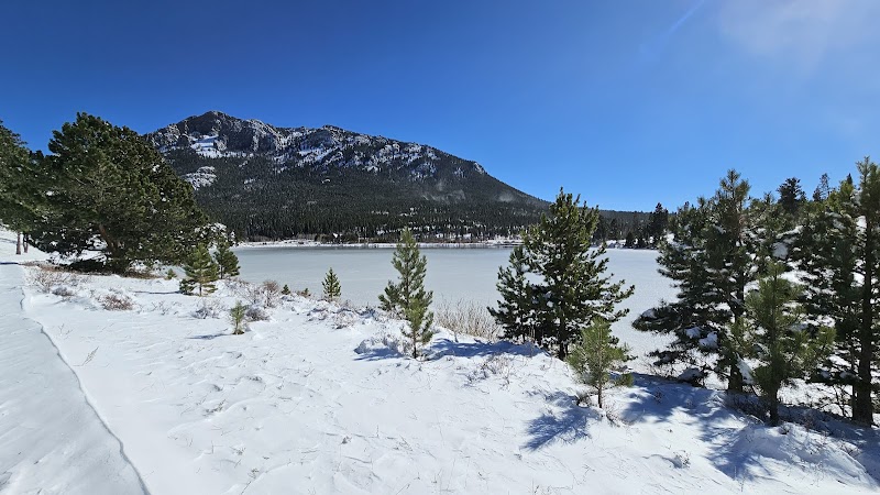 Scenic Serenity at Lily Lake near Estes Park, Colorado outdoor detail