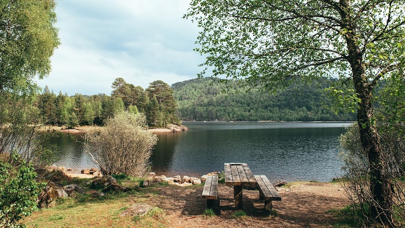 Majestic Highlands Wilderness: Glen Affric outdoor detail