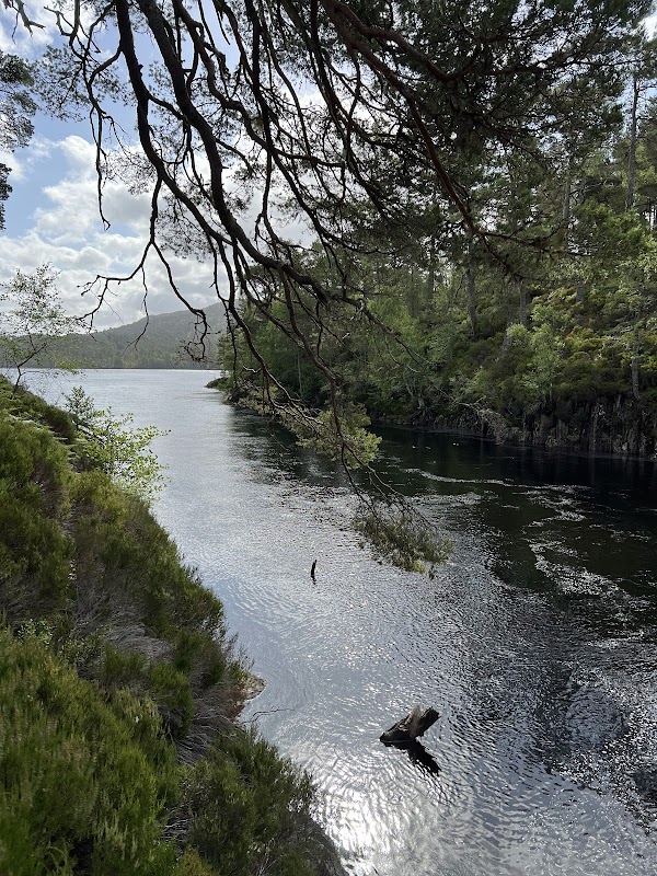 Majestic Highlands Wilderness: Glen Affric surrounding landscape