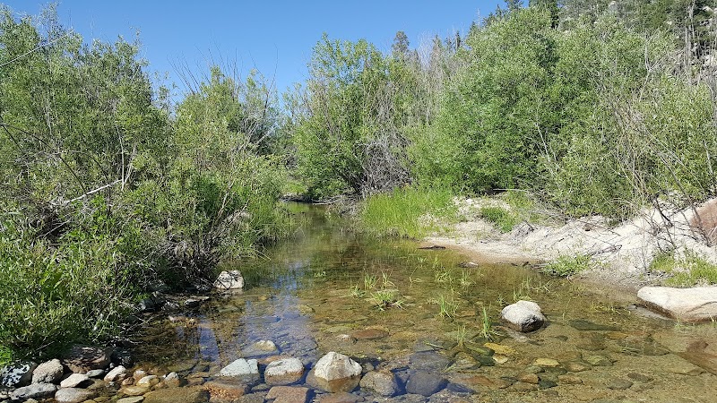 Adventure Off-Roading on Holcomb Creek 4x4 Trail in Green Valley Lake outdoor detail