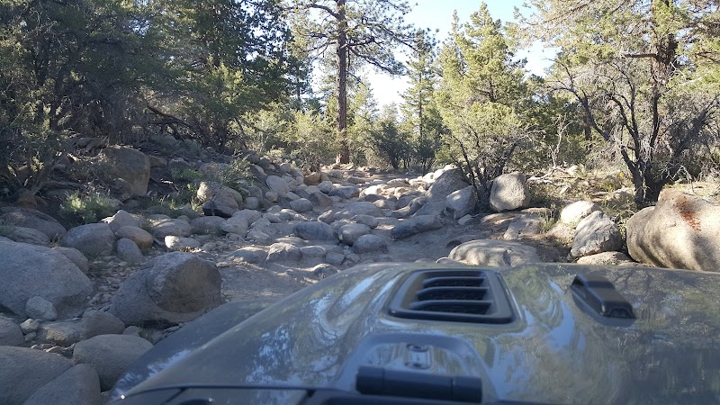 Adventure Off-Roading on Holcomb Creek 4x4 Trail in Green Valley Lake surrounding landscape