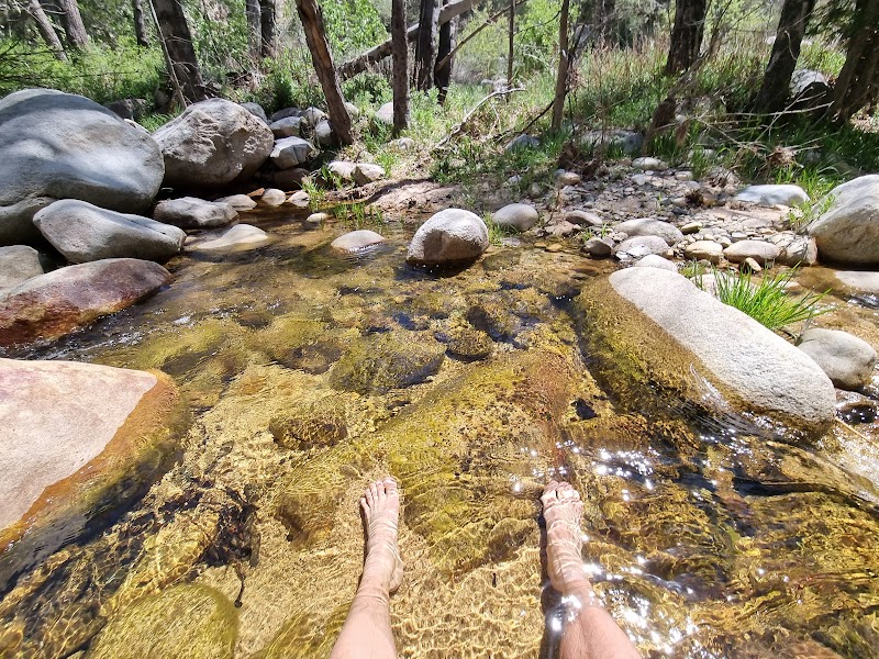 Adventure Off-Roading on Holcomb Creek 4x4 Trail in Green Valley Lake - Holcomb Creek 4x4 Trail