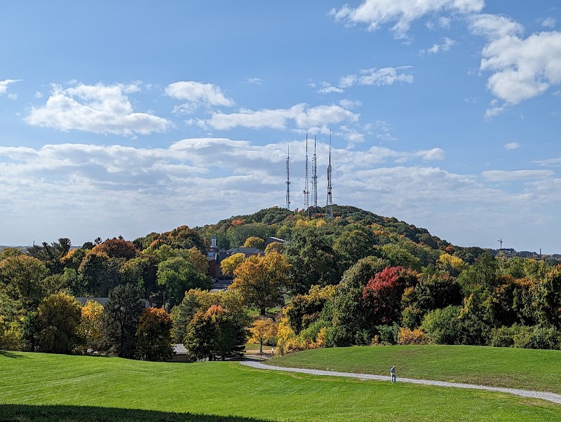 Outdoor Oasis in Rochester: Cobbs Hill Park - Cobbs Hill Park