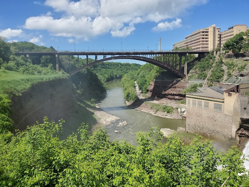 Waterfall Wonder: Lower Falls Park in Rochester, NY - Lower Falls Park