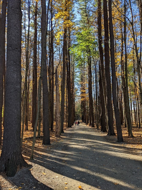 Natural Springs & Scenic Trails at Saratoga Spa State Park - Saratoga Spa State Park