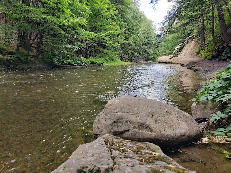 Natural Springs & Scenic Trails at Saratoga Spa State Park surrounding landscape