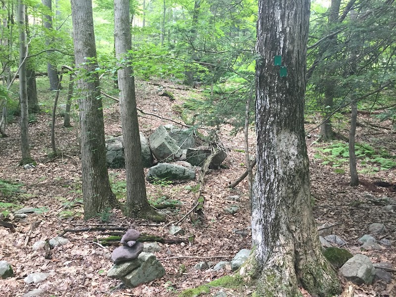 Scenic Natural Beauty at Sterling Forest State Park, New York surrounding landscape