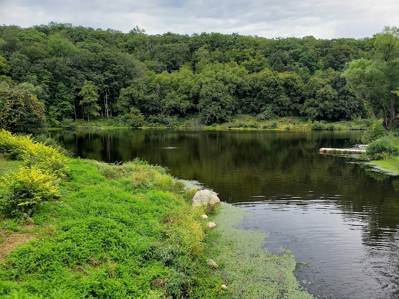 Scenic Natural Beauty at Sterling Forest State Park, New York outdoor detail