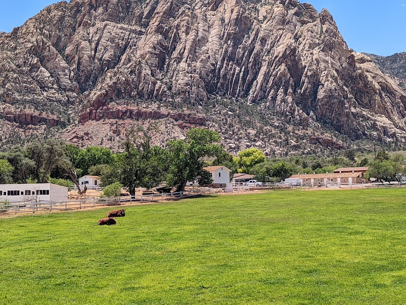 Desert Oasis & Mountain Views at Spring Mountain Ranch State Park surrounding landscape