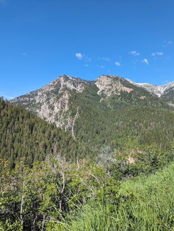 Scenic Wonders of American Fork Canyon, Utah outdoor detail