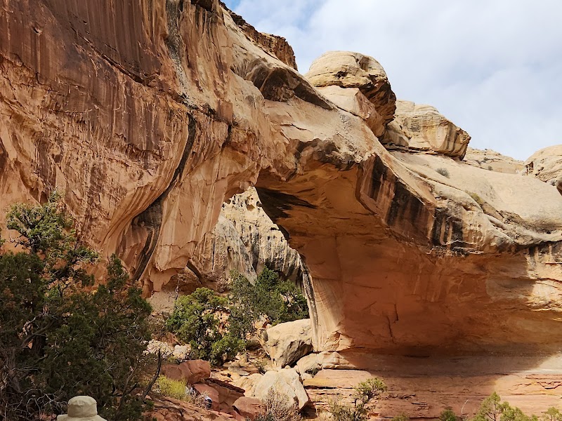 Natural Wonders of Capitol Reef National Park - Capitol Reef National Park