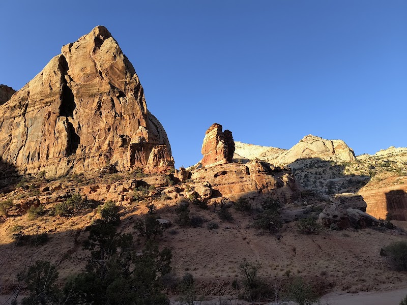 Natural Wonders of Capitol Reef National Park outdoor detail
