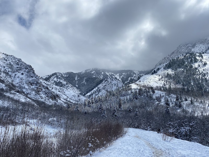 Scenic Hiking in Neffs Canyon near Salt Lake City outdoor detail