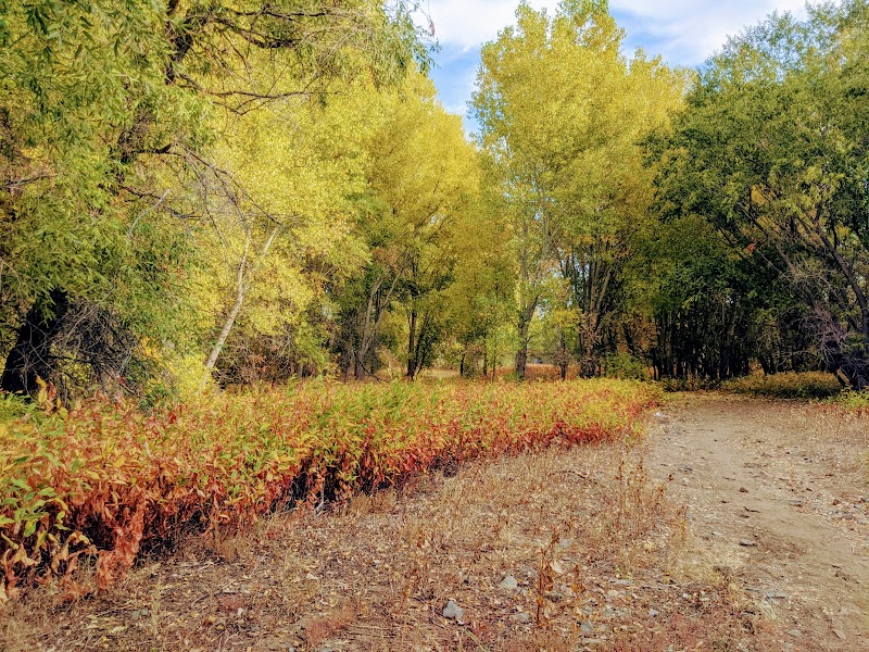 Scenic Nature Retreat at Willow Lake Road, Prescott - Willow Lake Road