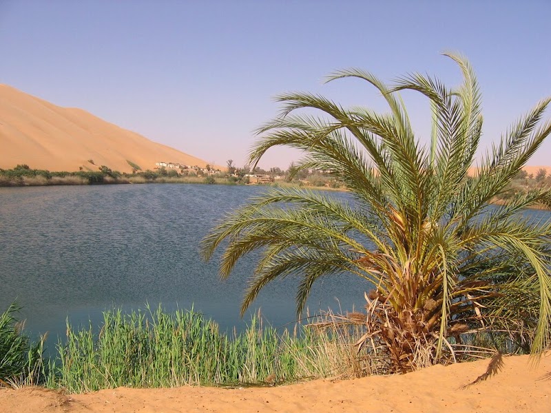 Desert Oasis Serenity at Ubari, Libya - Ubari