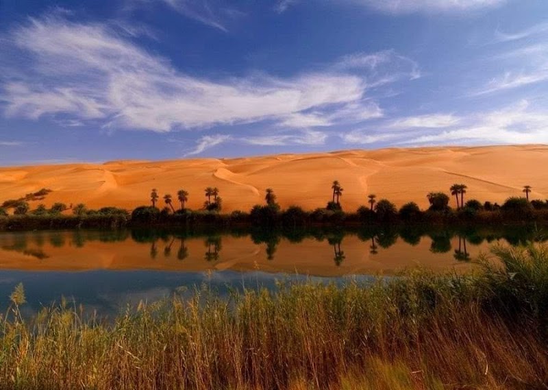 Desert Oasis Serenity at Ubari, Libya - Ubari