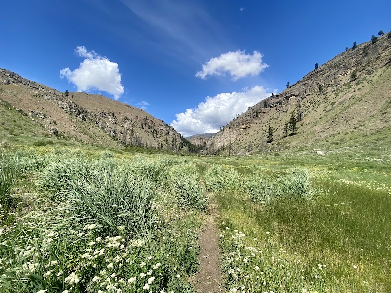 Hiking Adventure at Pipestone Canyon Trailhead near Winthrop, WA - Pipestone Canyon Trailhead