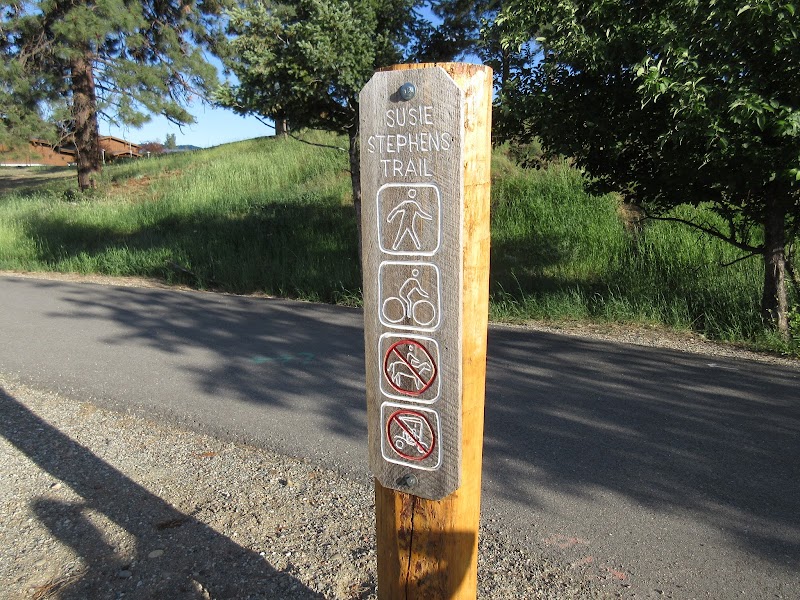 Scenic Hiking at Susie Stephens Trail, Winthrop, Washington outdoor detail