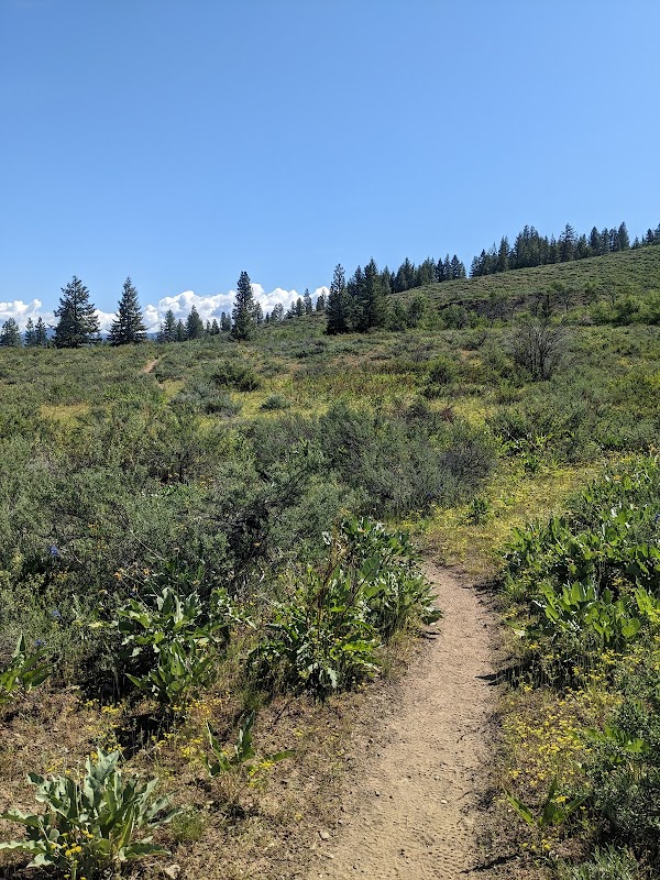 Scenic Hiking at Patterson Mountain Trailhead near Winthrop, WA - Patterson Mountain Trailhead