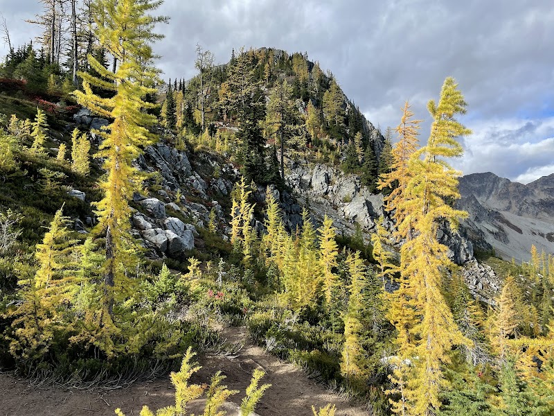 Scenic Hiking at Rainy Pass Trailhead near Winthrop, WA outdoor detail