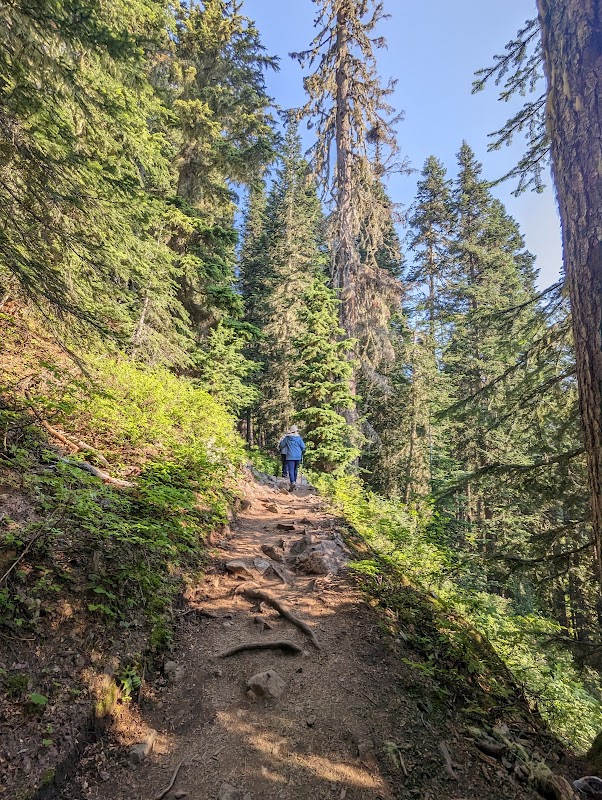 Scenic Hiking at Rainy Pass Trailhead near Winthrop, WA - Rainy Pass Trailhead