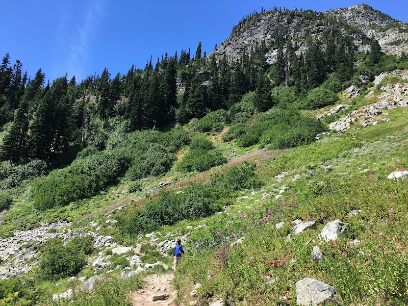 Scenic Hiking at Rainy Pass Trailhead near Winthrop, WA surrounding landscape
