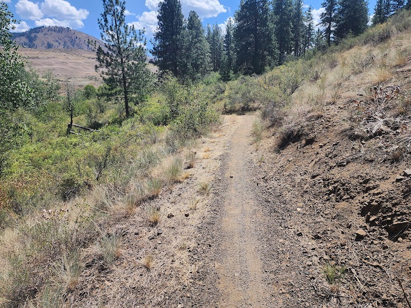 Scenic Hiking at Lake Creek Trailhead near Winthrop, WA outdoor detail