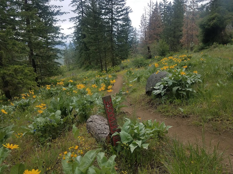 Scenic Trailhead Adventure at Chickadee Trailhead near Winthrop, WA surrounding landscape