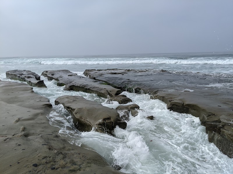 Tide Pools & Coastal Life at La Jolla - La Jolla Tide Pools