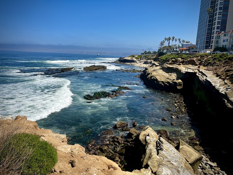 Tide Pools & Coastal Life at La Jolla surrounding landscape