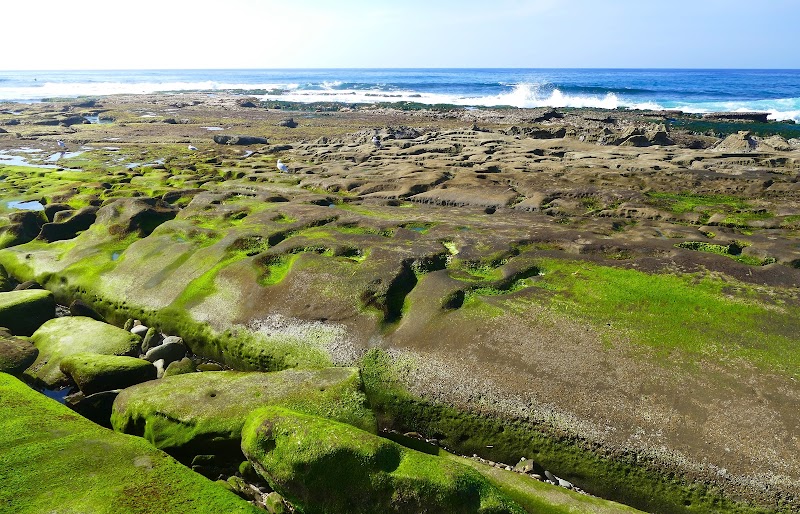Tide Pools & Coastal Life at La Jolla outdoor detail