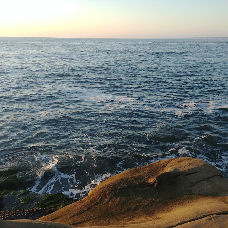 Tide Pools & Coastal Life at La Jolla - La Jolla Tide Pools